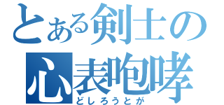 とある剣士の心表咆哮（どしろうとが）