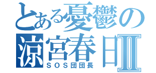 とある憂鬱の涼宮春日Ⅱ（ＳＯＳ団団長）