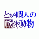 とある暇人の軟体動物（ウミウシ）