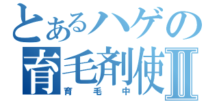 とあるハゲの育毛剤使用Ⅱ（育毛中）