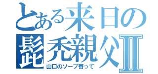 とある来日の髭禿親父Ⅱ（山口のソープ寄って）