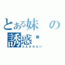 とある妹の誘惑♡（たえきれない）