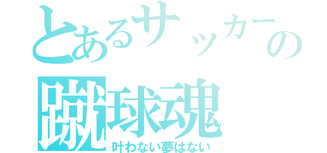 とあるサッカー馬鹿の蹴球魂（叶わない夢はない）