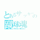 とあるサッカー馬鹿の蹴球魂（叶わない夢はない）