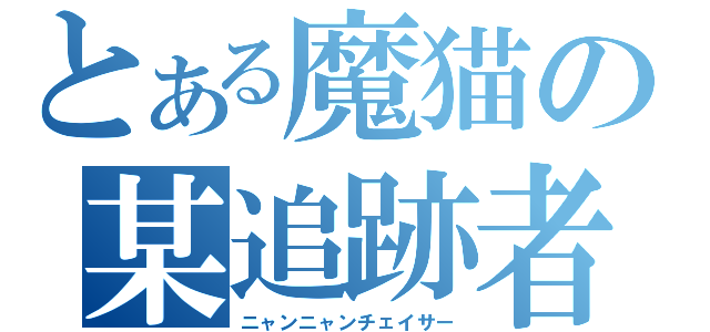 とある魔猫の某追跡者（ニャンニャンチェイサー）