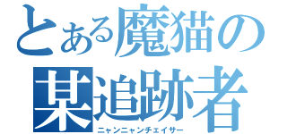 とある魔猫の某追跡者（ニャンニャンチェイサー）