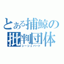 とある捕鯨の批判団体（シーシェパード）