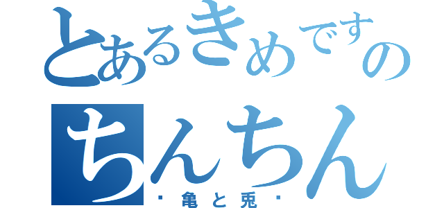 とあるきめですのちんちん（〜亀と兎〜）