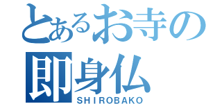 とあるお寺の即身仏（ＳＨＩＲＯＢＡＫＯ）