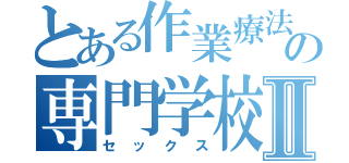 とある作業療法の専門学校Ⅱ（セックス）