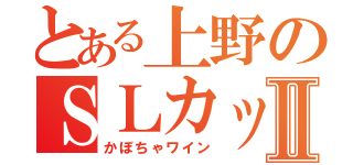 とある上野のＳＬカップルⅡ（かぼちゃワイン）