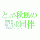 とある秋楓の誠求同伴（歡迎加入）