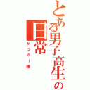 とある男子高生の日常Ⅱ（かつの～様）