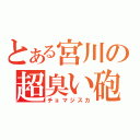 とある宮川の超臭い砲（チョマジスカ）