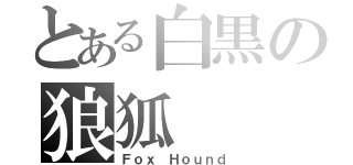 とある白黒の狼狐（Ｆｏｘ Ｈｏｕｎｄ）