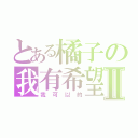 とある橘子の我有希望Ⅱ（我 可 以 的）