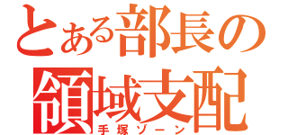 とある部長の領域支配（手塚ゾーン）