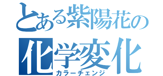 とある紫陽花の化学変化（カラーチェンジ）