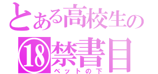 とある高校生の⑱禁書目録（ベットの下）