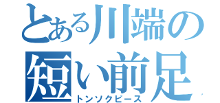 とある川端の短い前足（トンソクピース）