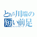 とある川端の短い前足（トンソクピース）