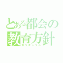 とある都会の教育方針（カリキュラム）