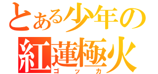 とある少年の紅蓮極火（ゴッカ）