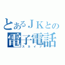 とあるＪＫとの電子電話（スカイプ）