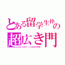 とある留学生枠の超広き門（公式チートを在日が利用？）