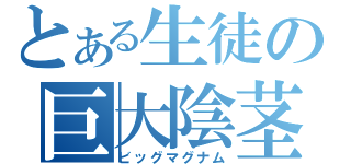 とある生徒の巨大陰茎（ビッグマグナム）