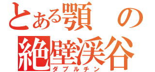 とある顎の絶壁渓谷（ダブルチン）