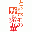 とあるホモの野獣先輩（ビーストシニア）