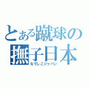 とある蹴球の撫子日本（なでしこジャパン）