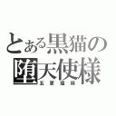 とある黒猫の堕天使様（五更瑠璃）