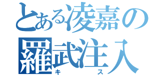 とある凌嘉の羅武注入（キス）