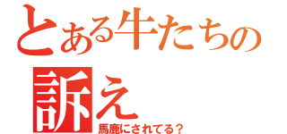 とある牛たちの訴え（馬鹿にされてる？）