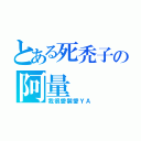 とある死禿子の阿量（我很愛裝愛ＹＡ）