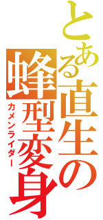 とある直生の蜂型変身（カメンライダー）