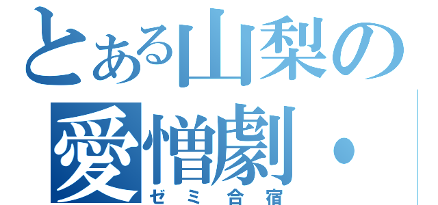 とある山梨の愛憎劇・・・（ゼミ合宿）