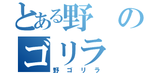 とある野のゴリラ（野ゴリラ）