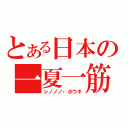 とある日本の一夏一筋（シノノノ・ホウキ）