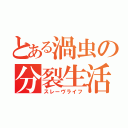 とある渦虫の分裂生活（スレーヴライフ）