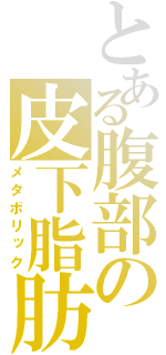 とある腹部の皮下脂肪（メタボリック）