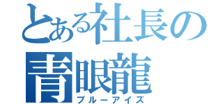 とある社長の青眼龍（ブルーアイズ）