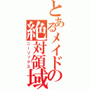 とあるメイドの絶対領域（ニーソックス）