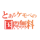 とあるケモベビの国際無料通話（スカイプ）