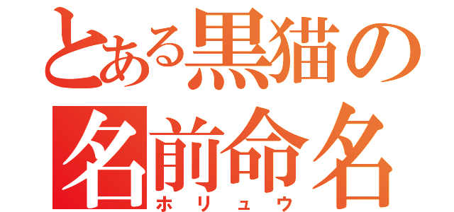 とある黒猫の名前命名（ホリュウ）