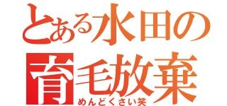 とある水田の育毛放棄（めんどくさい笑）