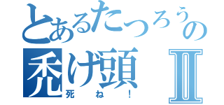 とあるたつろうの禿げ頭Ⅱ（死ね！）