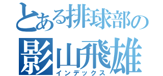 とある排球部の影山飛雄（インデックス）